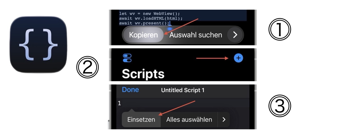 Screenshot: Den Skript-Text „Kopieren & Einfügen“. 