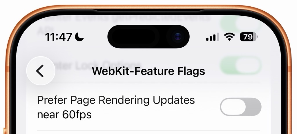 Screenshot: Die „Prefer Page Rendering Updates near 60fps“ Option in den versteckten Safari Einstellungen auf dem iPhone.