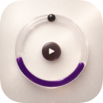 WebApp: Zum CirlceTap Spiel