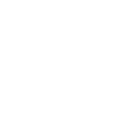 SWR BW Logo