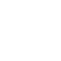 TS 24 Logo