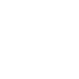 WELT Logo
